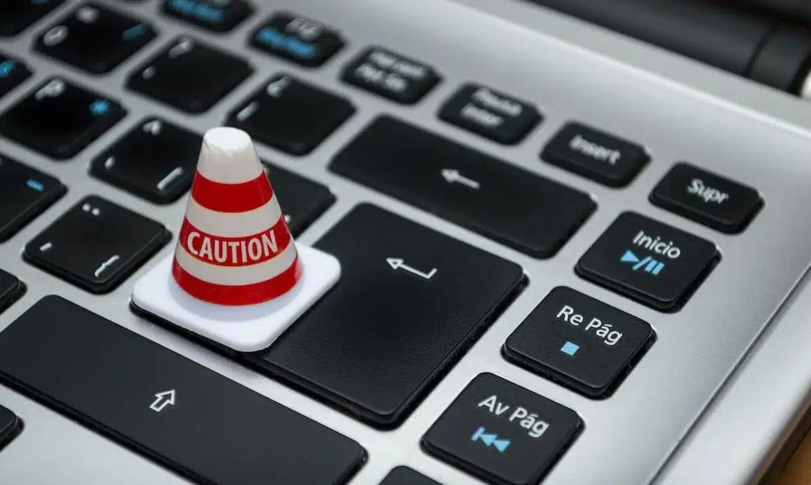Les enjeux essentiels de la protection des données personnelles en ligne