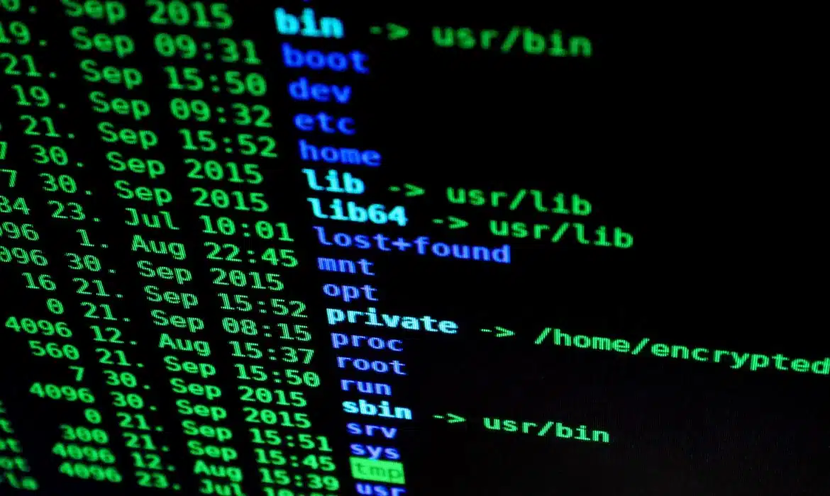 Découvrez les techniques de hacking courantes et les meilleures méthodes pour les contrer